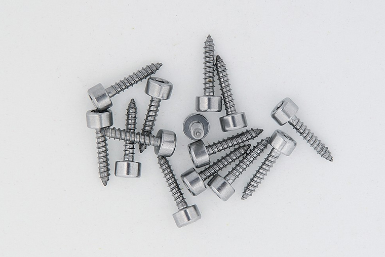 Other stainless steel plate screws